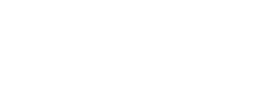 313 Insurance Logo