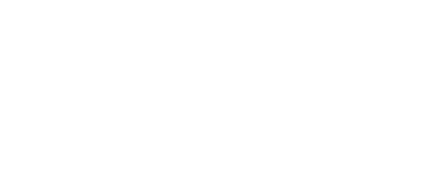 313 Wealth Logo